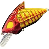 Amazon.co.jp: Water Land(ウォーターランド) スケルトンクランク